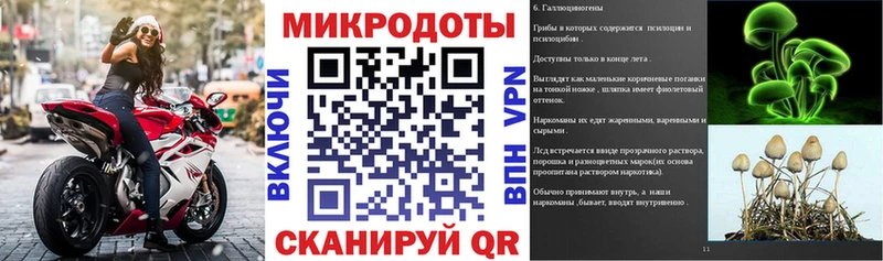 Псилоцибиновые грибы Psilocybe Донецк