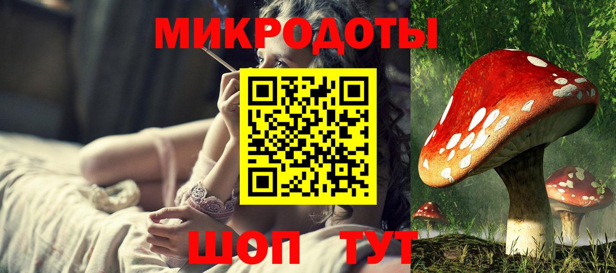 Донецк  Псилоцибиновые грибы мухоморы  Вход с VPN  Псилоцибиновые грибы Psilocybe 